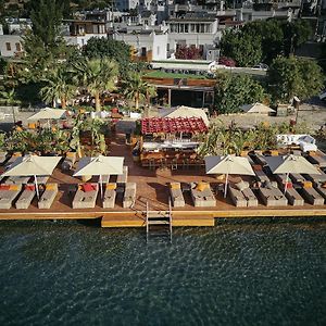 Galen Beach House